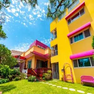 [울산] 울산 바다소풍 애견펜션(울산, 북구)