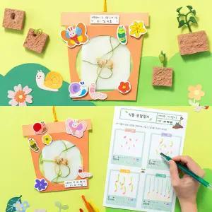 뿌리 관찰 식물 보리싹 (곤충) 과학 수업 종이 화분 일지 생태 교육 키우기 활동 초등학교 봄 만들기