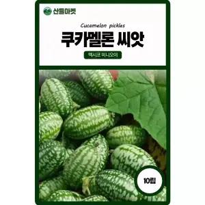 산들마켓 쿠카멜론 오이씨앗 10립 수박처럼 생긴 멕시코의 미니 오이씨 종자