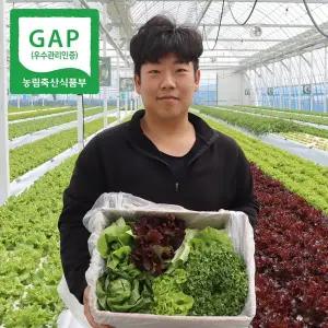 [농부들의수확][GAP인증/품질보장] 유럽샐러드 상추 모듬쌈채소 1kg (4-8종) 당일수확 무료배송