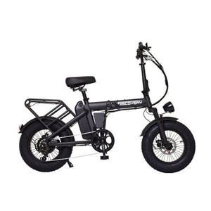 레이윙 디스커버리 MX 접이식 전동 팻바이크 전기자전거 48V A18