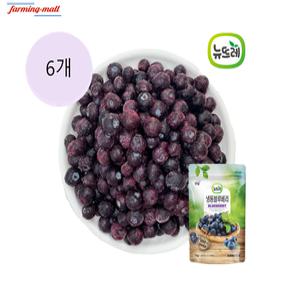 [보금푸드] 뉴뜨레 냉동 블루베리 미국산 1kg x 6개