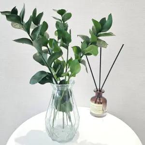 [꽃같은하루] 루스커스 꽃 생화 수경재배식물 플랜테리어