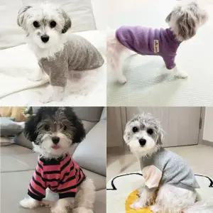 강아지옷 애견옷 반려견옷 데일리 맨투맨 기모 후드 래글런 실내복 사계절 오가닉 티셔츠