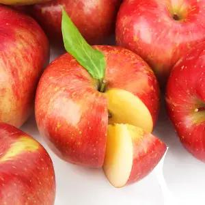 [아침이슬농원] 매일먹는 부사사과 가정용 2kg 대과(7과내)