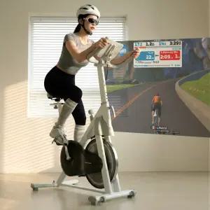 이고진 250S 스핀바이크 실내자전거