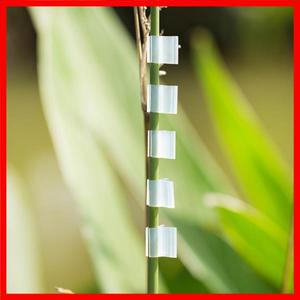 100Pcs 식물 접목 클립 특수 접목 클립 토마토 모종 접목 클립 야채 접목 클램프 원예 가제트