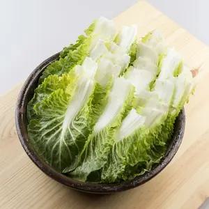 [흙이음] 해풍맞은 제철 아삭한 국내산 봄동