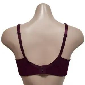 노와이어 크리비아 브라 디자인 B컵 고혹적인 컬러와