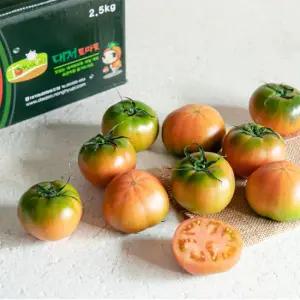 [흙이음] 대저 단짠단짠 짭짤한 토마토 (2S~S) 1kg