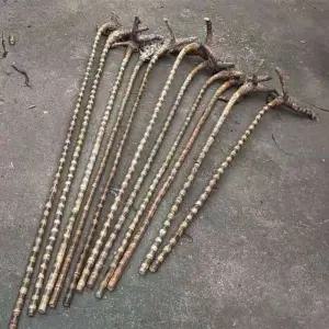 지팡이 황금 비단 뿌리 용혈 스틱 대나무 금 솔리드