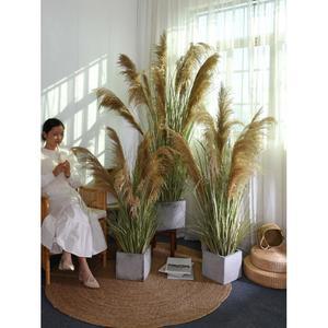 모조 갈대 대형 인조갈대 북유럽 바구니 180CM 인플루언서 부쉬 모조꽃 플라워 수제