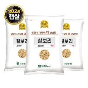 25년 국산 찰보리 3kg (1kgx3) / 햇보리 보리쌀 잡곡