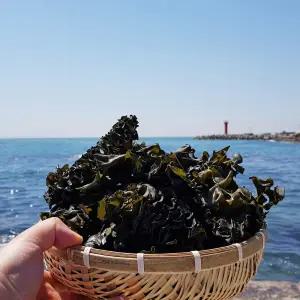 완도 미역귀 500g