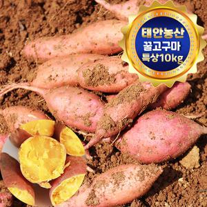 건강한 태안! 안면도 꿀고구마 특상(100g~300g) 10kg (박스포함)