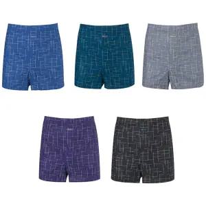 제임스딘 02 소프트터치 면100% 남성 트렁크 5매 남자팬티 사각팬티 빅사이즈