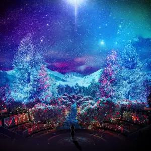 [제주]  노형수퍼마켓+혜택 (낙타트래킹,족욕,조안베어 체험)(실내관광지/제주전시회/미술관/노형슈퍼마켓/미디어아트)