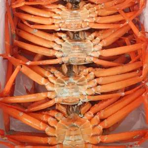 구룡포 A급 프리미엄 자숙 박달홍게 3kg 수율 80-90%