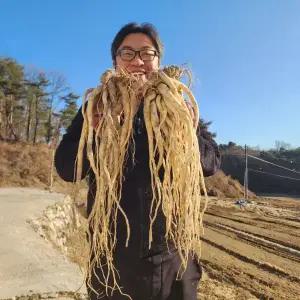 할매장터 25년 수확 약도라지 흙 도라지 국산