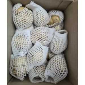 국산 히카마 5kg 얌빈 멕시코 감자 슈퍼푸드 혈당관리 저칼로리 다이어트 JICAMA 감자