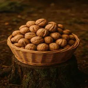 2025년 국내산 영동 햇 토종 호두 호두망치 1kg 2kg 선물용박스