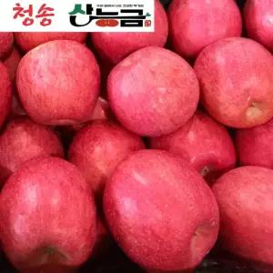 경북 청송 부사 얼음골 꿀사과 가정용 못난이 3kg 5kg