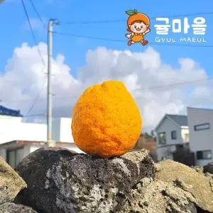 귤마을 제주 토종 댕유자 댕유지 9kg 혼합과