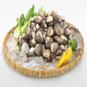 산지직송 벌교 활 새꼬막 대사이즈 3kg