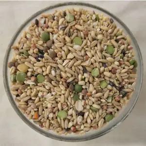 정성든 발아혼합 22곡 1kg 오곡밥 오곡쌀 잡곡 혼합곡 1개 식사 중식 일식 즉석요리 외식 간편요리