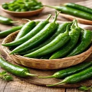 국내산 오이고추 상 아삭이고추 5kg 10kg