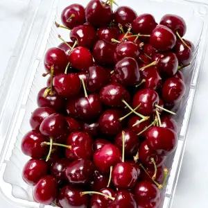 칠레산 생체리 중과 26mm내외 1kg