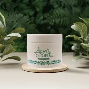 아로마스켄들 고체 탈취제 250g x3개 딥포레스트향/실내 차량 화장실 홀애비 초강력 냄세제거