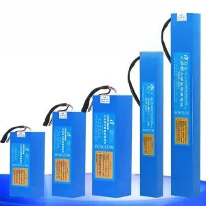 전동 킥보드 배터리 이지베이션 나노휠 충전기 전기자전거 부품