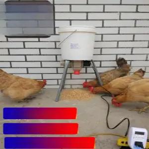 모이 피더 양계장 닭 자동공급기 병아리 오리 사료 모이통 농장 먹이 미 정량 머 사료통