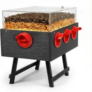 KOL 음식물 쓰레기 방지 닭 모이통 6개 미끄럼 투입구 투명 HIPS 아크릴 디자인 암탉과 병아리를 위한