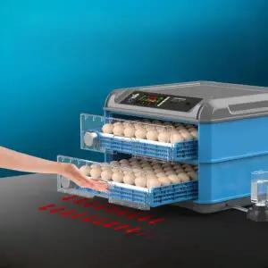 스마트 병아리 부화기 메추리 6구 저동회전 인큐베이터 6개 이중 온도표시+일수표시