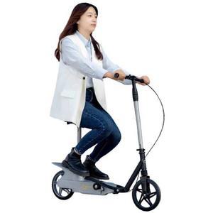 출퇴근 두발 킥보드 양발 성인 바미트 모직 쓰리웨더 스케이팅 블랙 빅토르 운동