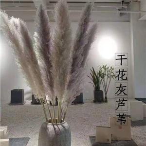 초대형 팜파스 잔디 인테리어 다발 갈대 웨딩 보존 꽃장식 생화같은 결혼식 꽃다발