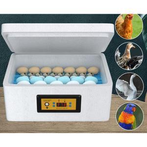 계란 병아리 부화기 미니 미니메추리 상자 터닝 10란 31 만들기 디지털 단전 농장