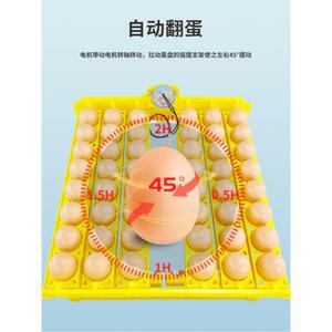 부화기 트레이 자동 220V 오리 110V 새 턴테이블 알 가금류 48 12V 모터 부화