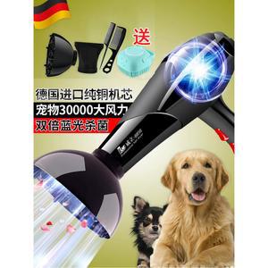 애완동물 전용 대형 드라이기 이온소독