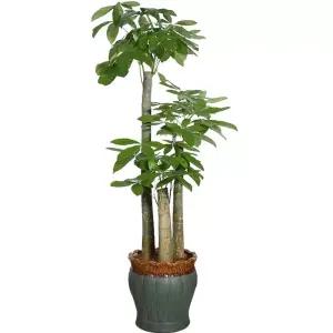 화단 금속화분 회사 로비 화분 스테인레스 인테리어 사각