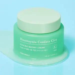 토니모리 어성초 시카 쿨링 수분 크림 100ml