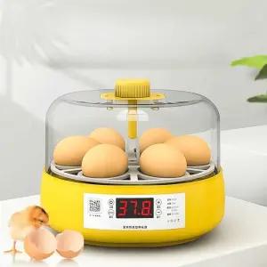 자동 병아리 부화기 메추리 재료 앵무새 받침 조류 알