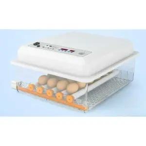 계란 부화기 달걀 병아리 소형 오리 알 가정용