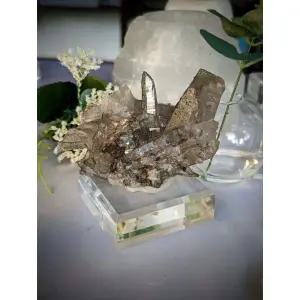 언디스클로즈드 스위스 쿼츠 Tessin 명품시계 패션시계 시계 손목시계 3188199 155113818895