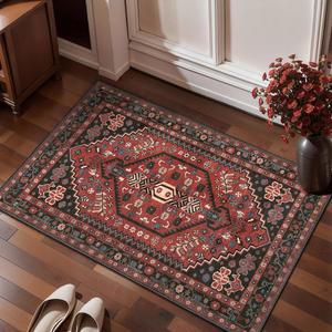사이쿨 소형 면적 러그, 2x3피트 보호 입구용 울트라 소프트 입구 미끄럼 방지 세척 가능한 오리엔탈 로우 파일 실내 매트 바닥 카펫, 현관 침실 주방 욕실 로비 장식