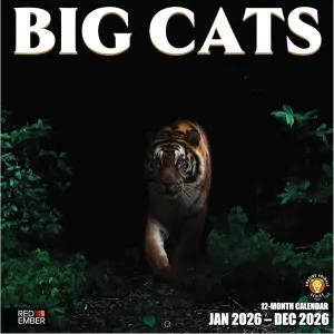레드 엠버 빅 캣츠 2026 월 캘린더 12개월 12 u201D x 24 오픈 두껍고 튼튼한 종이 홀리데이 선물 야생동물