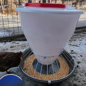 자동급여기 급식기 공급기 모이통 닭사료 오리 농장