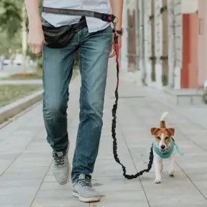리드줄 핸즈프리 강아지 목줄 산책줄 허리 러닝